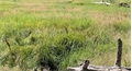 Image du bien UBI475045832